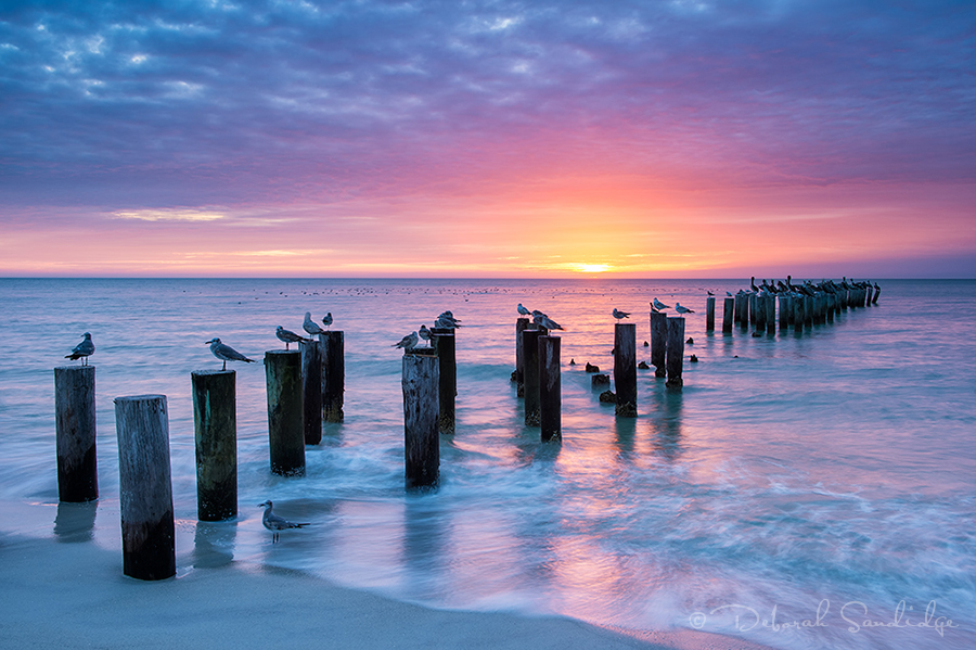 Naples pier sunset copy